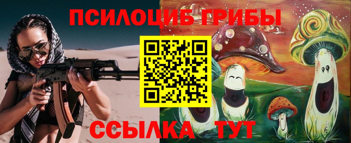 Калининград  Галлюциногенные грибы мухоморы  Вход с VPN 