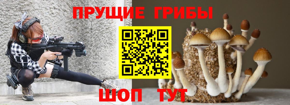 Галлюциногенные грибы Psilocybine cubensis Калининград